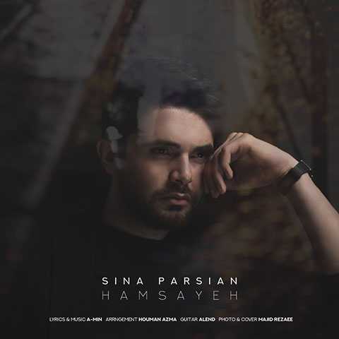 Sina Parsian Hamsayeh